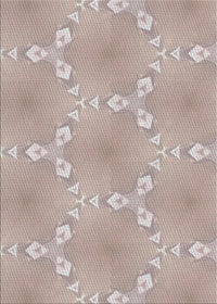 Machine Washable Transitional Rose G Pink Rug, wshpat1549