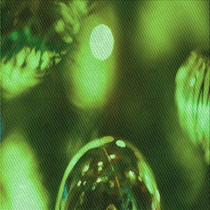 Round Machine Washable Transitional Dark Forest Green Rug, wshpat155grn