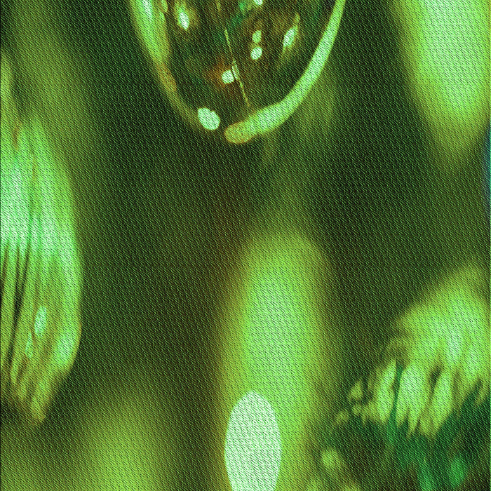 Machine Washable Transitional Dark Forest Green Rug, wshpat155grn