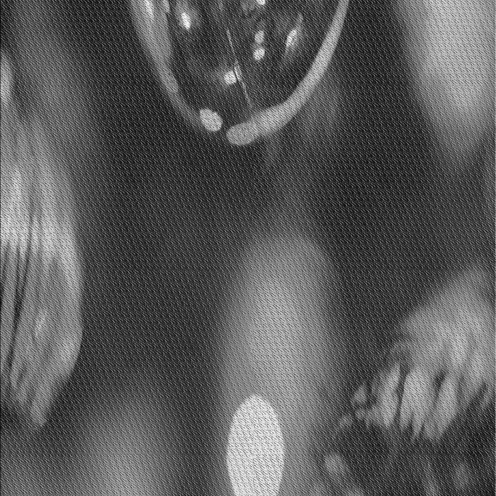 Machine Washable Transitional Gray Rug, wshpat155gry