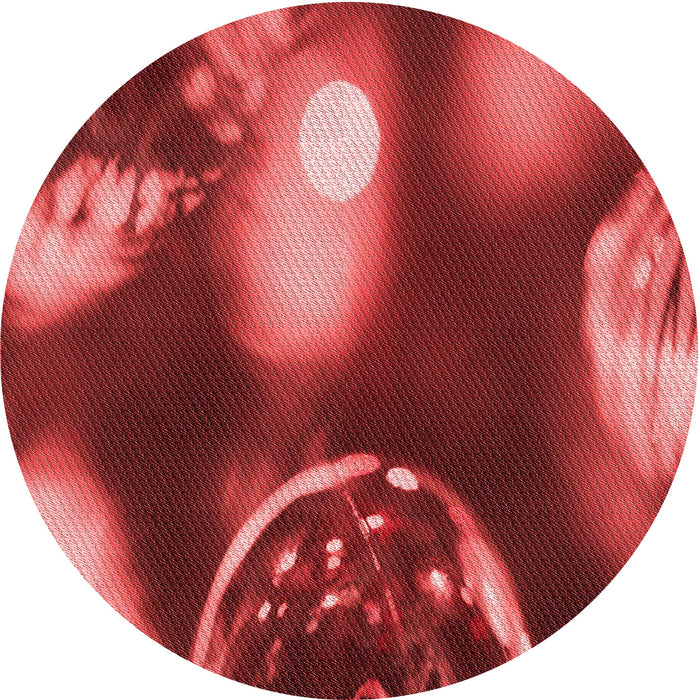 Square Machine Washable Transitional Red Rug in a Living Room, wshpat155rd