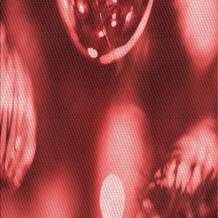 Patterned Red Rug, pat155rd