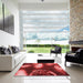 Square Patterned Red Rug in a Living Room, pat155rd