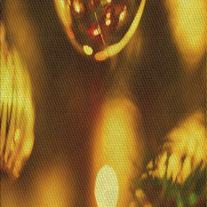 Machine Washable Transitional Red Brown Rug, wshpat155yw