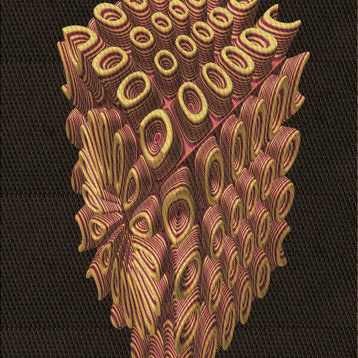 Machine Washable Transitional Saddle Brown Rug, wshpat1550brn