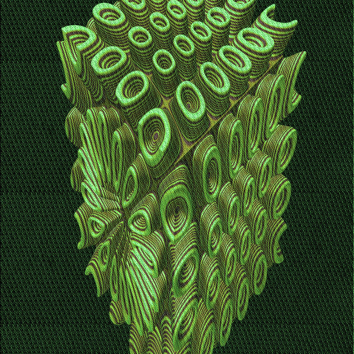 Machine Washable Transitional Dark Lime Green Rug, wshpat1550grn