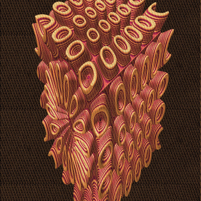 Machine Washable Transitional Mahogany Brown Rug, wshpat1550org