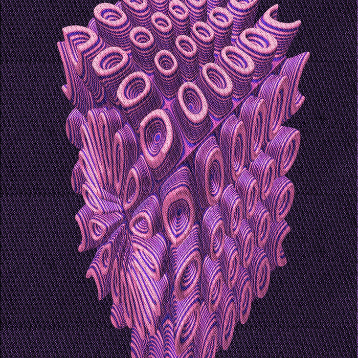 Machine Washable Transitional Dark Purple Rug, wshpat1550pur