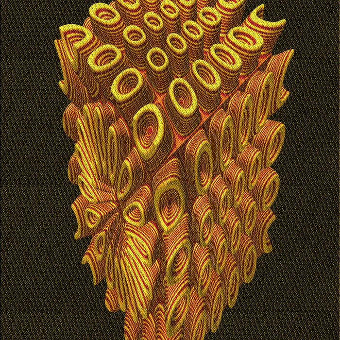 Machine Washable Transitional Black Brown Rug, wshpat1550yw