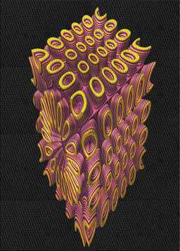 Machine Washable Transitional Brown Rug, wshpat1550