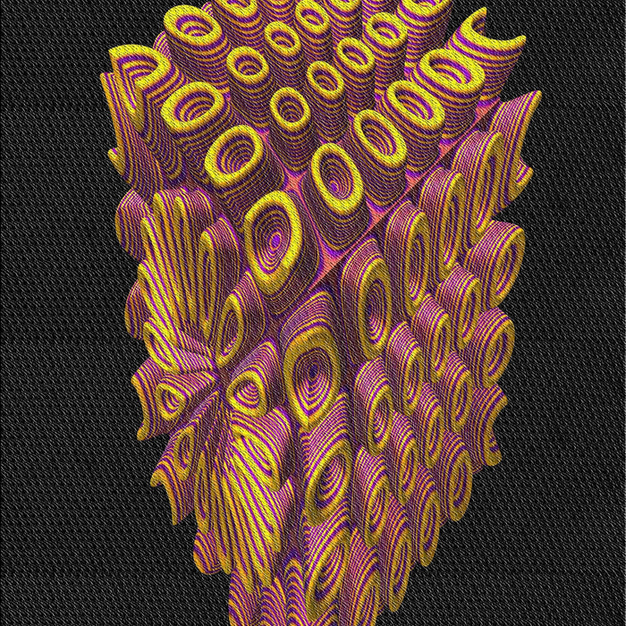 Machine Washable Transitional Brown Rug, wshpat1550