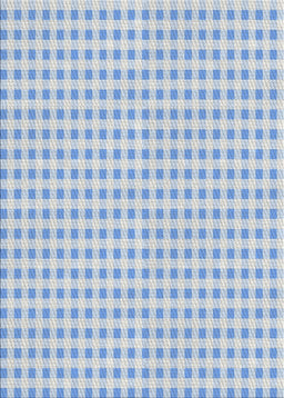 Machine Washable Transitional Pale Blue Lily Blue Rug, wshpat1551