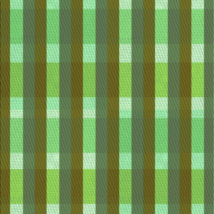 Machine Washable Transitional Green Rug, wshpat1554grn