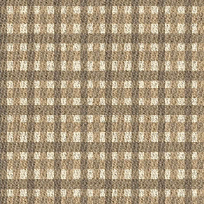 Machine Washable Transitional Brown Rug, wshpat1558brn