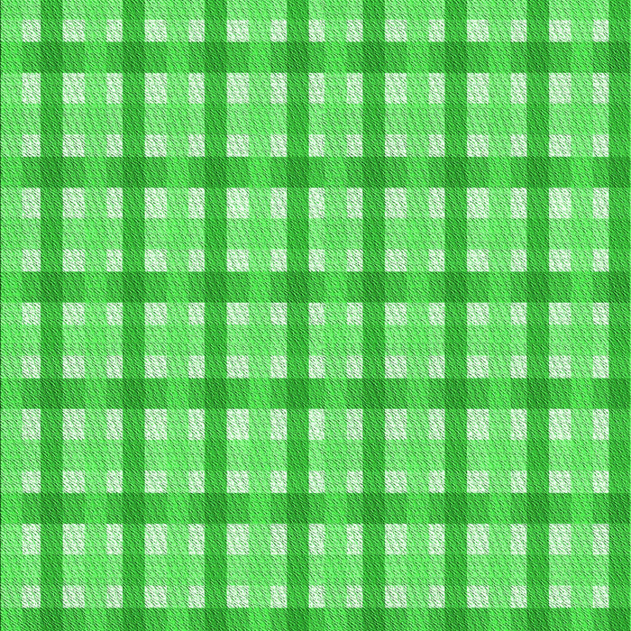 Machine Washable Transitional Neon Green Rug, wshpat1559grn