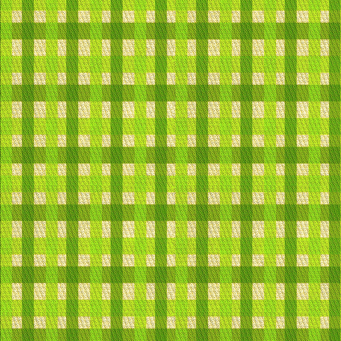 Patterned Green Yellow Green Rug, pat1559yw