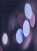 Patterned Periwinkle Purple Rug, pat156blu