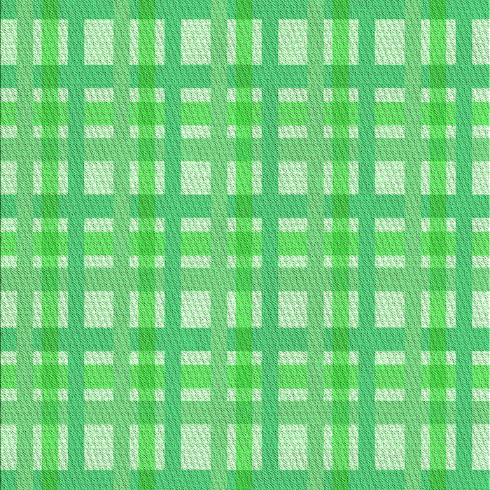 Machine Washable Transitional Neon Green Rug, wshpat1561grn