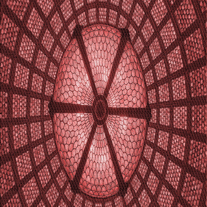 Patterned Dark Red Rug, pat1562rd