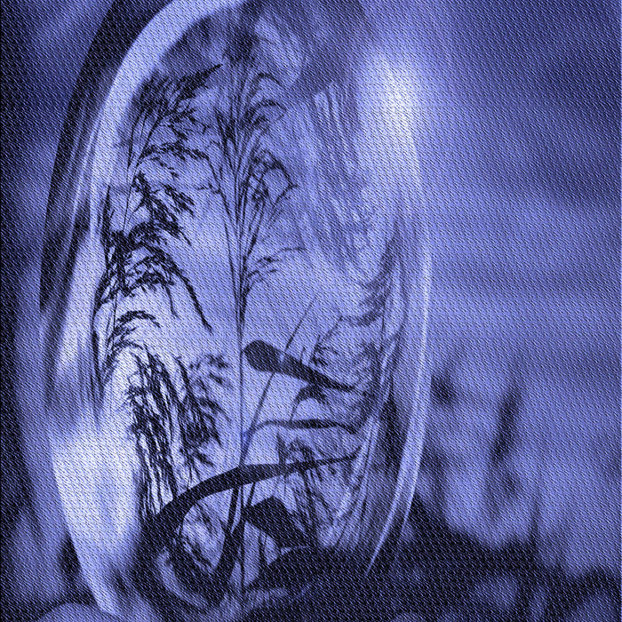 Patterned Light Slate Blue Rug, pat1563blu