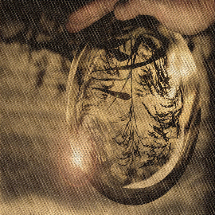 Round Machine Washable Transitional Cinnamon Brown Rug, wshpat1563brn