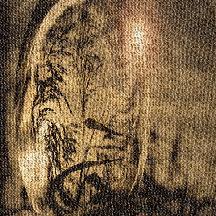 Machine Washable Transitional Cinnamon Brown Rug, wshpat1563brn