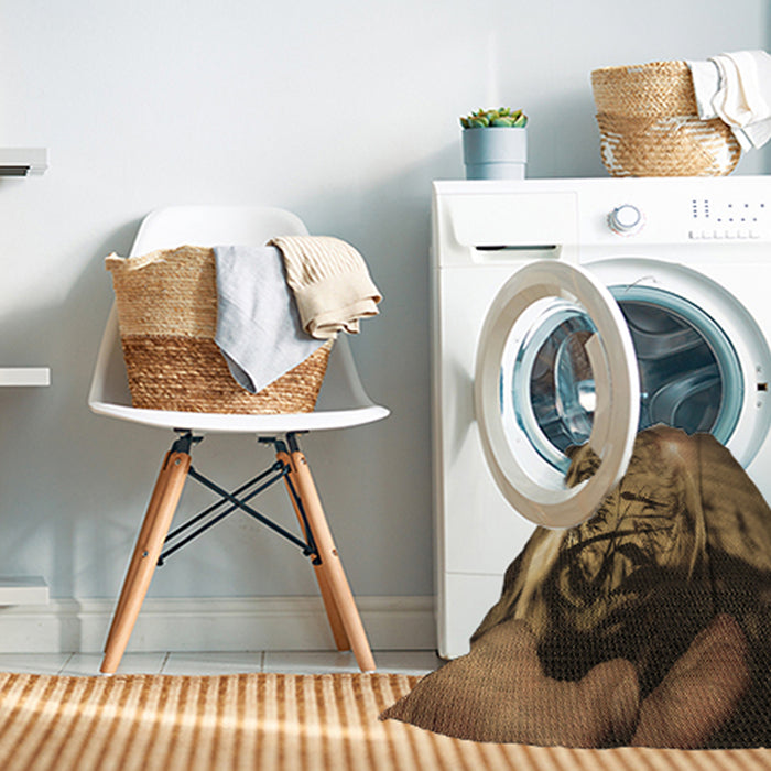 Machine Washable Transitional Cinnamon Brown Rug in a Washing Machine, wshpat1563brn