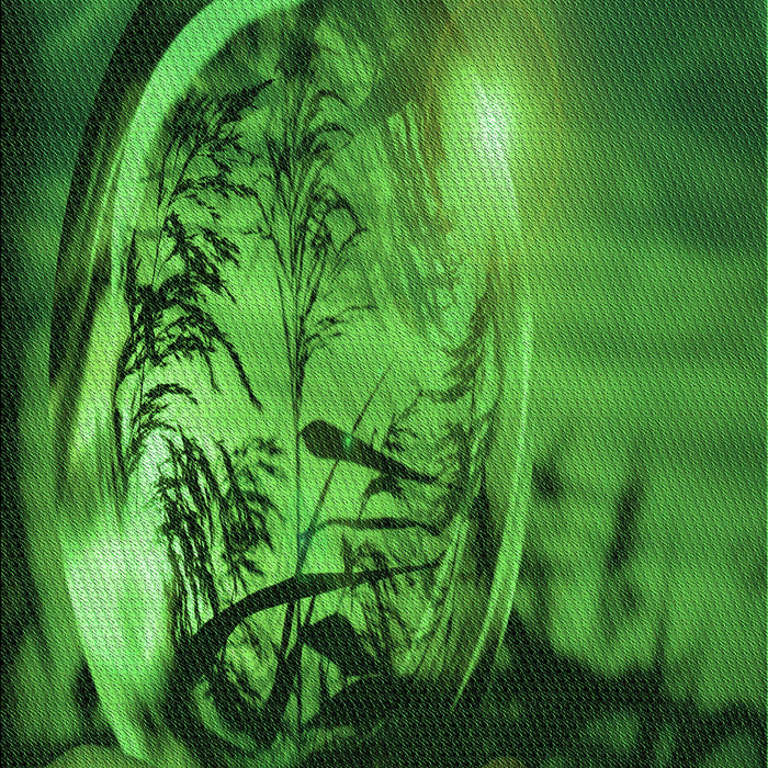 Machine Washable Transitional Deep Emerald Green Rug, wshpat1563grn