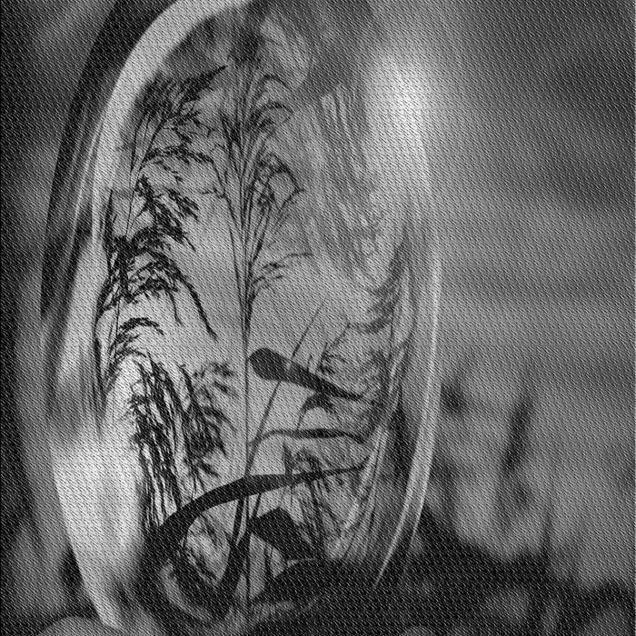 Machine Washable Transitional Gunmetal Gray Rug, wshpat1563gry