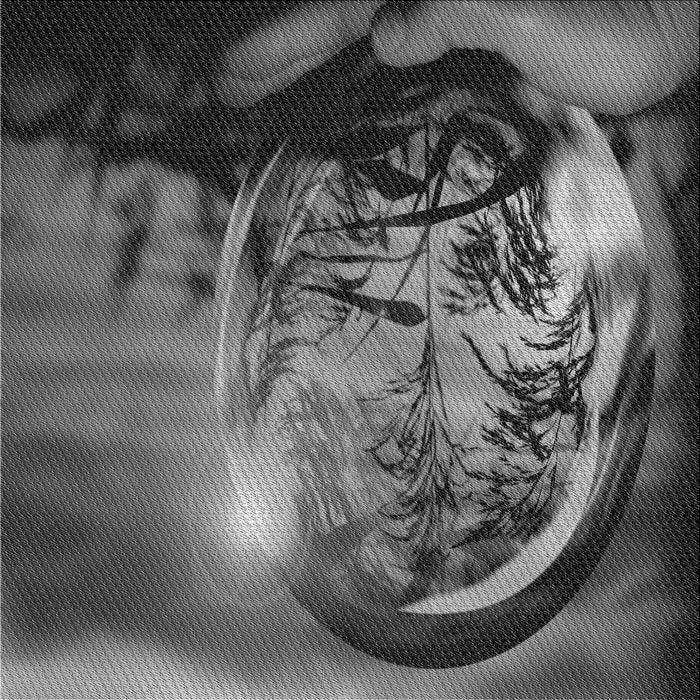 Round Machine Washable Transitional Gunmetal Gray Rug, wshpat1563gry