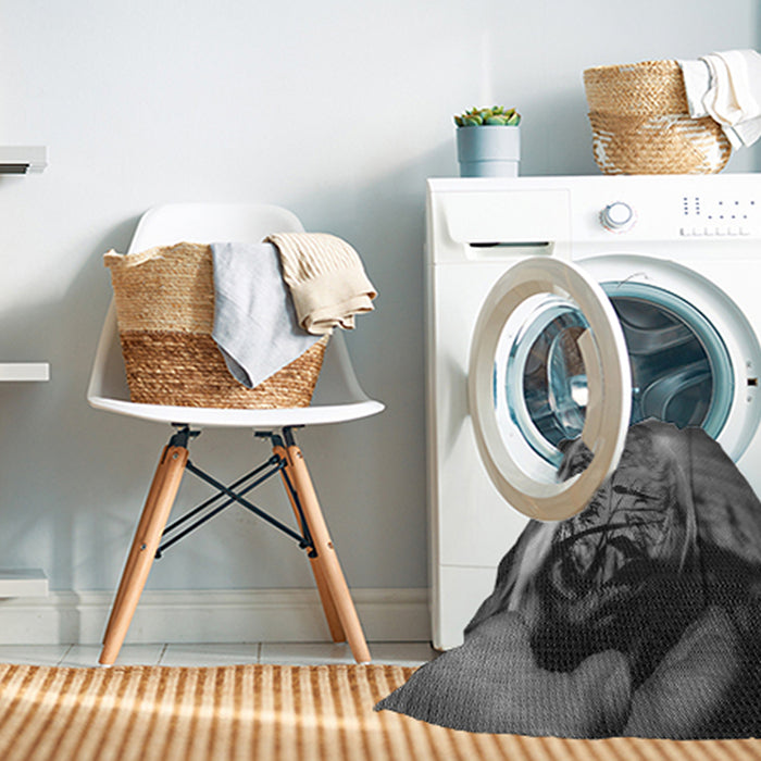 Machine Washable Transitional Gunmetal Gray Rug in a Washing Machine, wshpat1563gry