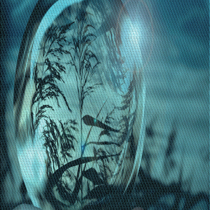 Patterned Medium Teal Green Rug, pat1563lblu