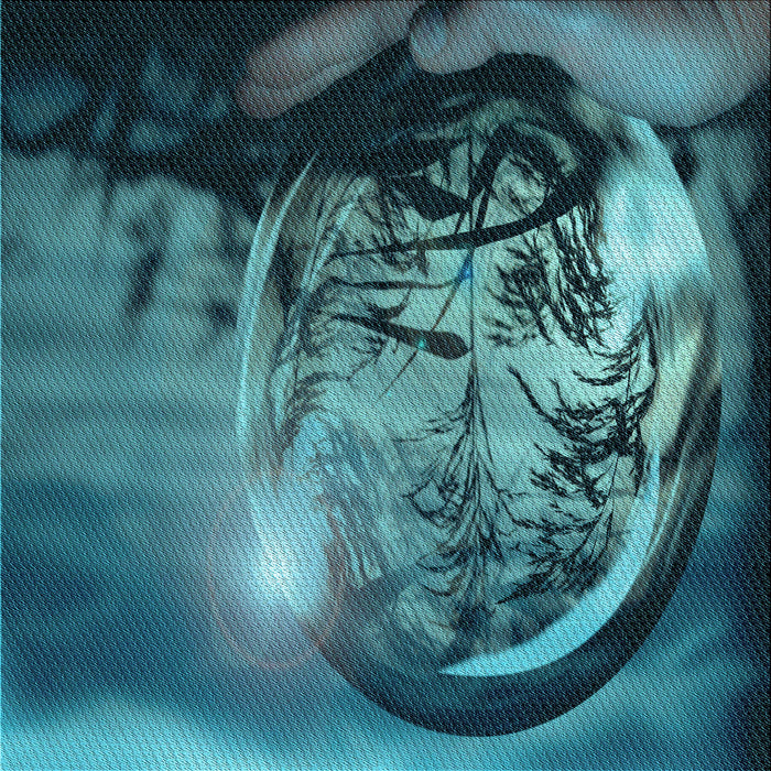 Round Machine Washable Transitional Medium Teal Green Rug, wshpat1563lblu