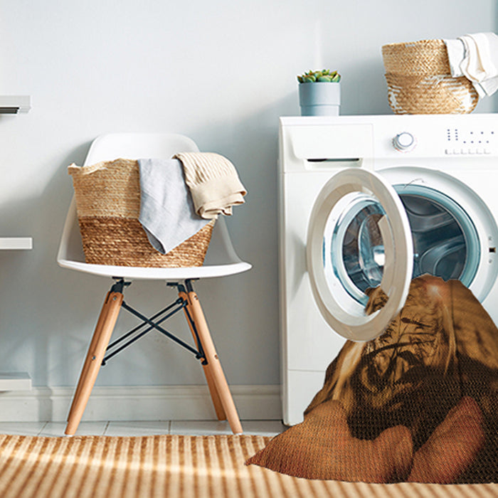 Machine Washable Transitional Red Brown Rug in a Washing Machine, wshpat1563org