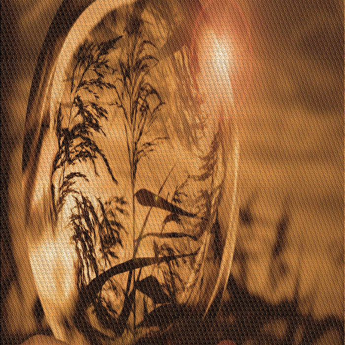 Machine Washable Transitional Red Brown Rug, wshpat1563org