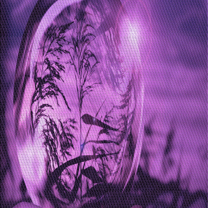 Machine Washable Transitional Bright Purple Rug, wshpat1563pur