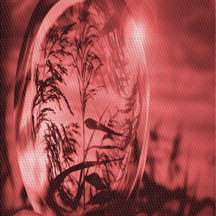 Machine Washable Transitional Cranberry Red Rug, wshpat1563rd