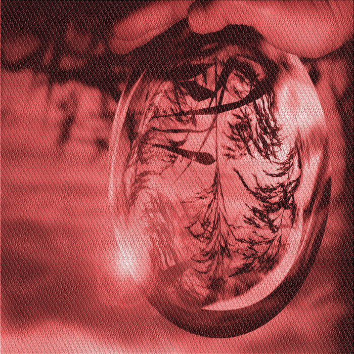 Round Machine Washable Transitional Cranberry Red Rug, wshpat1563rd