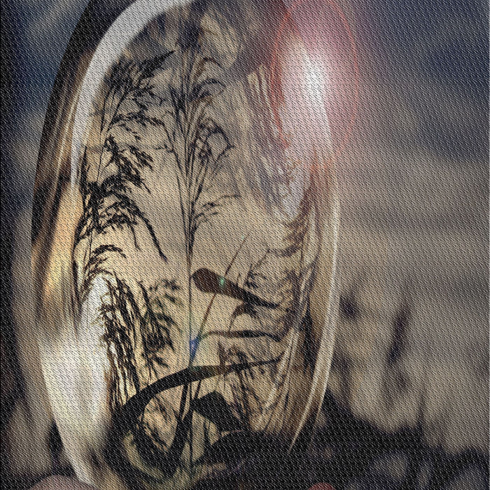 Machine Washable Transitional Charcoal Black Rug, wshpat1563