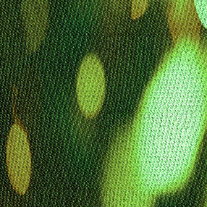 Machine Washable Transitional Dark Forest Green Rug, wshpat157grn