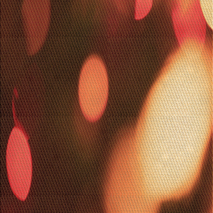 Machine Washable Transitional Orange Rug, wshpat157org