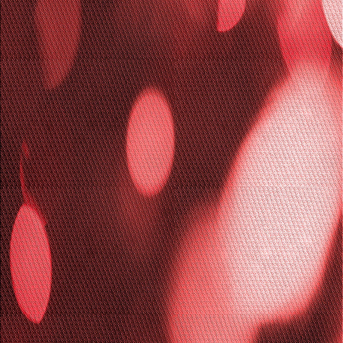 Patterned Red Rug, pat157rd