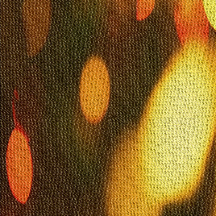 Machine Washable Transitional Night Red Rug, wshpat157yw