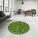 Round Patterned Seaweed Green Rug in a Office, pat1571grn