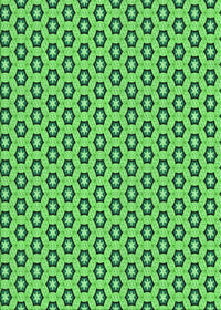 Machine Washable Transitional Emerald Green Rug, wshpat1574grn
