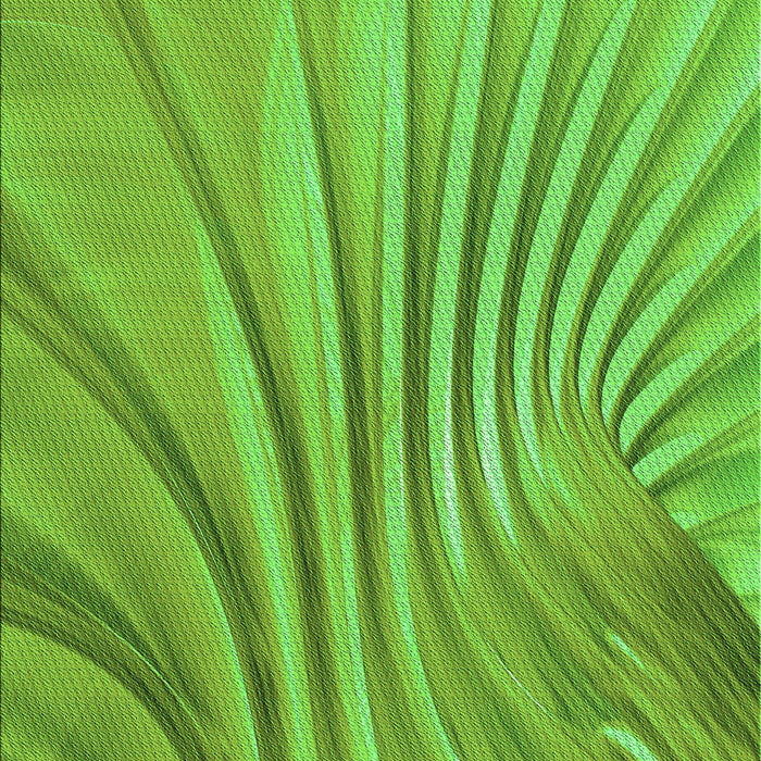 Machine Washable Transitional Emerald Green Rug, wshpat1575grn