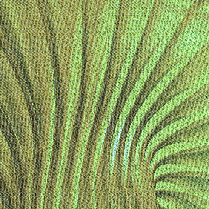 Machine Washable Transitional Yellow Green Rug, wshpat1576lblu