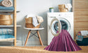 Machine Washable Transitional Rose Red Rug in a Washing Machine, wshpat1578pur