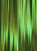 Patterned Dark Forest Green Rug, pat1579grn