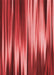 Patterned Red Rug, pat1579rd